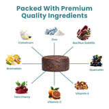 PetScy Itch & Allergy Plus Dog Allergy Chews for Itchy Skin, Ears & Paws