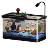 GarveeLife 4 gal Small Fish Tank, Betta Fish Tank kit with LED Light, Oxygen Generator, Fish Tank Starter Kits for Beta,Goldfish