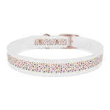 Pet Collar - Colorful Paw Prints Dog Collar