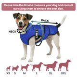LUCOLOVE Dog Cooling Vest with Ice Pack – 2-Layer Evaporative Cooling Jacket with High Collar, UV Protection & Size-Matched Ice Pack – Cooling Vest for Dogs for Hot Weather (Blue Aqua, Large)