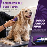 FuzzyFix AmpFix Professional Dog Grooming Clippers - 2 Detachable Blade 8 Metal Combs, 2-Speed Heavy-Duty Motor, 10ft Cord, Anti-Slip Shatter-Proof Housing for Pet All Coats
