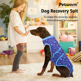 PetWarm Dog Suit for Surgery Recovery, Dog Recovery Suit for Female Spay, Protective Bodysuit with Abdominal Coverage, Anti-Lick Comfortable Onesie for Small to Large Dogs, Galaxy Pattern, Purple, M