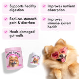 Probiotics for Dogs Natural Digestive Enzymes Prebiotics for Allergy Itch Relief Gut Flora Coprophagia Bowel Support Treatment Anti Diarrhea for Dogs Pet Health Immune System Support 30 Soft Chews