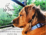 Lucky Love Dog Bundle - XS No Pull Dog Harness & Small Adjustable Collar, in Stylish Murphy Pattern, Durable & Comfortable for Pet Dogs, Suitable for Puppies & Adult Dogs