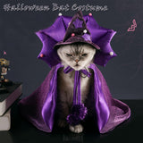 SEIS 2 Pcs Halloween Dog Cloak and Hat, Purple Cat Bat Costume Cap Set, Cosplay Vampire Pet Apparel for Cats Small Dogs (Free Size, Vampire)