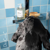DedCool Pet Shampoo | 01 Taunt | Gentle Cleanser for Dogs | Plant-Based Formula for Soft, Fresh Coats | Sulfate-Free, Dye-Free | Vegan | 16.9 fl oz