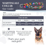 Lucky Love Dog Martingale Collar, Leash & Waste Bag Holder Floral Set - No-Buckle Collar for Training & Walking, Durable & Soft Webbing Leash, Cute Dog Poop Bag Holder - Blackbird, Small