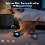 KiwiLove Interactive Cat Toy with Motion Activated Ball & 7-Hole Play Mat, Hide and Seek Exercise Game for Indoor Cats, Automatic Moving Cat Ball in Pouch, Rechargeable Kitten Toys (Starry Night)