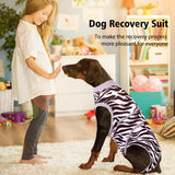 PetWarm Dog Recovery Suit, Dog Surgical Recovery Suit Female and Male, Onesie for Dogs, Spay Neuter Bodysuit for Abdominal Affected Areas Sensitive Skin Areas, Leopard Pattern, Gray, XS