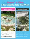 Mellbree 2-Pack Bird Bath Purification Disk, 99.99% Pure Copper Disc Cleaner Safe for Outdoor Bird Bath, Solar Fountains and Concrete Bowls - Bird-Safe Gift for Bird Lovers 0.6mm (Bird Pattern)