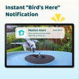 Birdfy Smart Bird Bath with Camera, Solar Powered, Dual-Lens 2K AI Bird ID