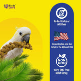Birds LOVE Millet Tips & Tails for Birds - Parakeets, Cockatiels, Lovebirds, Finches, Budgies, Canaries, Cockatoos - Natural & Healthy Millet for Birds - Parakeet Food & Treats for All Parrots, 1lb