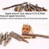 QHZHANG 24PCS Hamster Chew Toys Set, Natural Small Animal Teeth Grinding Molar Toys with Apple Wood Sticks Sweet Bamboo Grass Balls Pine Cones for Rabbit Chinchilla Guinea Pig Squirrel Gerbil