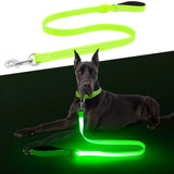 LED Dog Leash, Light Up Dog Leash 4 Ft Fully Illuminated USB Rechargeable Waterproof, Nylon Reflective Leashes with Padded Handle for Dogs Night Walking, Safety Glow in The Dark for Large Medium Pets