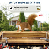 MIXXIDEA Wooden Squirrel Feeder with Camera, Smart Squirrel Feeder with Solar Panel, AI Identification, 2K HD+ Video, Cloud Storage, Large Capacity, Ideal for Squirrel Lover, 32G SD Card