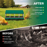 Garvee Chicken Nesting Boxes, 4 Hole Roll-Away Nesting Boxes for Chickens Coop with Perch, Hens, Ducks & Other Poultry,Egg Laying Box with Lid Cover to Protect Eggs,Easy to Assemble