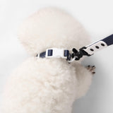 The LICKER Store WLK1004J-5SET Luna Small 8FT Adjustable 6-in-1 Waterproof Hands-Free Leash and Collar with LED Flashlight, Bag Dispenser, and Poop Bag Holder, Highball