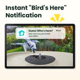 Birdfy Smart Bird Bath with Camera, Solar Powered & Fountain, 2K AI Camera
