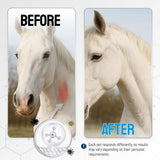 Horse Wound Care Spray with Silver – Wounds, Scratches, Cuts, Abrasions, Itching, Hot Spots, Skin Irritation – First Aid Solution and Breeds – 4 Oz