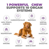 Mighty Petz Ear Cleaner + Multivitamin Chews for Dogs