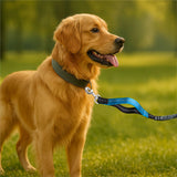 BJDQHKJ Hands-Free Dog Leash for Dogs up to 130 lbs – Heavy-Duty, Shock-Absorbing Bungee Leash with Zipper Pouch, Dual Padded Handles & Adjustable Waist Belt for Running & Walking – Sky Blue