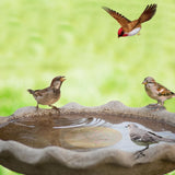 Denwwico 4-Piece Pure Copper Disks for Bird Baths, 4-Inch Large Metal Surface Protector for Outdoor Birdbath Bowls and Bee Watering Stations