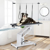 CuisinSmart Hydraulic Dog Grooming Table 43.3'' Large Pet Grooming Table for Dogs, Max Load 350Lbs, 22"-39" Adjustable Height, Non-Slip PVC Top Salon-Grade Dog Groomings Station