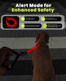 Light Up Dog Leash, LED Pet Leash for Night Walking,13 Lighting Modes, Rechargeable Dog Lights, Glow in The Dark Walking Leashes with Tangle-Free Hook for Medium Large Dogs - 4 Ft
