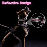 WINSEE Pet Harness Collar and Leash Set, All-in-one Reflective Dog Harness No Pull with Adjustable Buckles for Puppies, Small, Medium, Large, and Extra-Large Dogs (Large, Pink)