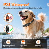 Citronella Dog Training Collar [1*Refill Spray] 1000FT Citronella Dog Bark Collar with Remote Innovative with Beep/Spray/Vibration 1-6 Levels for All Breeds 4 Training Modes Citronella Collar