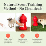 Lovewag Fire Hydrant Leg-Lifting Pee Post for Male Dogs, Red, 8x14