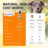 Turkey Tail Mushroom Liquid for Dogs 3000mg - Highly Concentrated Formula Support for Itch, Wart, Lumps Lipoma - Mushroom Extract Blended with Turmeric, 2B Probiotics & 10 Vitamins for All Dogs & Cats