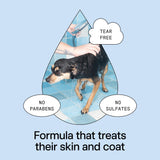DedCool Pet Shampoo | 01 Taunt | Gentle Cleanser for Dogs | Plant-Based Formula for Soft, Fresh Coats | Sulfate-Free, Dye-Free | Vegan | 16.9 fl oz