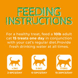 Just Try 13.4 OZ Pumpkin Cat Treats Cat Constipation Relief Hairball Control Healthy Salmon Snacks Training Biscuits Treats for Digestive Support Low Calorie Kitten Snacks