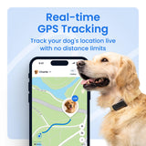 Tractive Smart Dog GPS Tracker | Live Pet Tracker with Virtual Fence | Vital Signs Monitoring of Heart & Respiratory Rate | Bark Monitoring | Dog Collar Attachment (Mint)