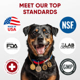 Probiotics for Dogs Digestive Health - Probiotic Chews for Gut Health, Itchy Skin Yeast, Diarrhea - USA Product - Immune Support Supplement - Dog Digestive Support & Allergy Relief Chews with Enzymes