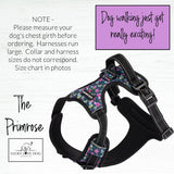 Lucky Love Dog Bundle - Medium No Pull Dog Harness & Adjustable Collar, in Stylish Primrose Pattern, Durable & Comfortable for Pet Dogs, Suitable for Puppies & Adult Dogs