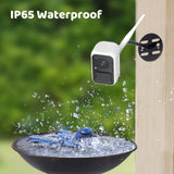 NETVUE by Birdfy Upgraded Smart Bird Feeder Camera, Solar Powered, Auto Bird Video Capture, Instant Notifications, AI Identify 6000+ Species