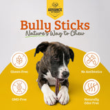 Advance Pet Products Premium 6 Inch Bully Sticks for Dogs (Pack of 5) – 100% Beef Dog Chews, Odor-Free, Long Lasting Treats for Aggressive Chewers, High Protein, Gluten & Rawhide Free, Easy to Digest