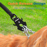 PetBonus Two Handles Dog Leash, 5FT Pet Rope Leash with Quick Release Clip
