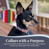 Lucky Love Dog Bundle - Medium No Pull Dog Harness & Adjustable Collar, in Stylish Hippie Pattern, Durable & Comfortable for Pet Dogs, Suitable for Puppies & Adult Dogs