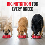Nulo Freestyle Adult Dog Food, Premium All Natural Grain-Free Dry Small Kibble Dog Food, with BC30 Probiotic for Healthy Digestion, and High Animal-Based Protein with no Chicken or Egg Alternatives