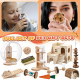 Sonwyoung 18 Pcs Hamster Cage Accessories, Silent Hamster Wheel, 15 Chew Toys Set, Maze Wood House and Water Bottle Set for Rat Mice Small Animals Habitat (Fun Interactive Style)