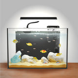 iPriro 3 Gallon 12.6” L Fish Nano Glass Aquarium, with Separator Plate for Betta, Multi-Functional Square Fish Tank with Filter, LED Light, Black 4mm Glass