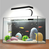 iPriro 3 Gallon 12.6” L Fish Nano Glass Aquarium, with Separator Plate for Betta, Multi-Functional Square Fish Tank with Filter, LED Light, Black 4mm Glass