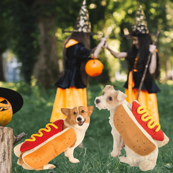 Two dogs in hot dog costumes with two people in witch costumes in the background.