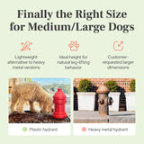 Lovewag Fire Hydrant Leg-Lifting Pee Post for Male Dogs, Red, 8x14