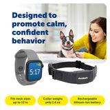PetSafe NanoBark Collar - Long-Lasting Lightweight Mini Bark Deterrent Collar with Multiple Static Stimulation Levels - Customizable & Easy-to-Use - Waterproof & Rechargeable