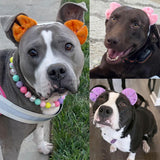 mqajdv Dog Hair Double Bow Headbands 3 Pcs – Bow Headband for Dogs, Dog Hair Bow,Classic Dog Hair Bows, Adjustable Headband, Puppy Bow, Pet Hair Bow, Dog Grooming Accessory
