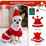 Dog Christmas Dress – Red Velvet Santa Claus Outfit with Christmas Hat for Small Dogs & Cats (5-22 lbs), Perfect Holiday Costume for Pets